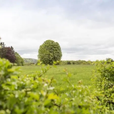 Fabulous Mansion In Spa Liege With Private Garden *