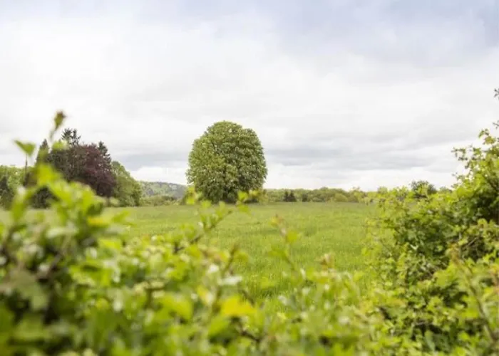 Mansion In Spa Liege With Private Garden *